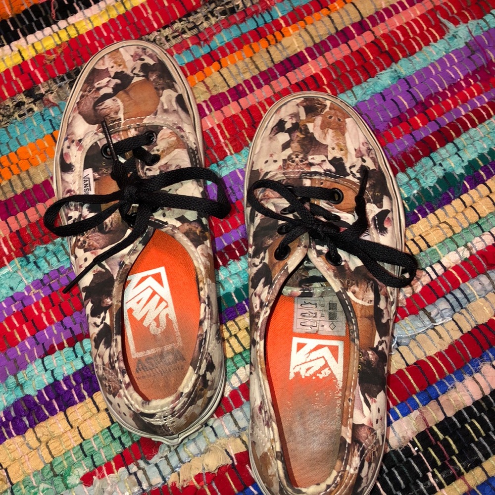 calling all kitty lovers✨